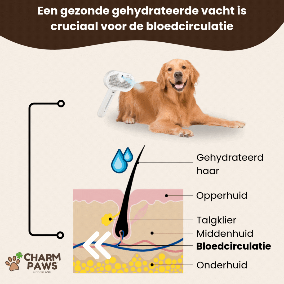 CharmPaws® Steami Pro - Professionele Vachtverzorgings Borstel voor Huisdieren