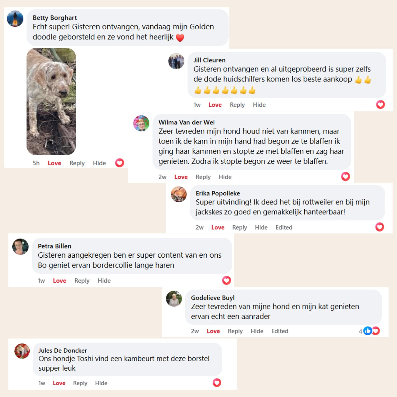 CharmPaws® Steami Pro - Professionele Vachtverzorgings Borstel voor Huisdieren