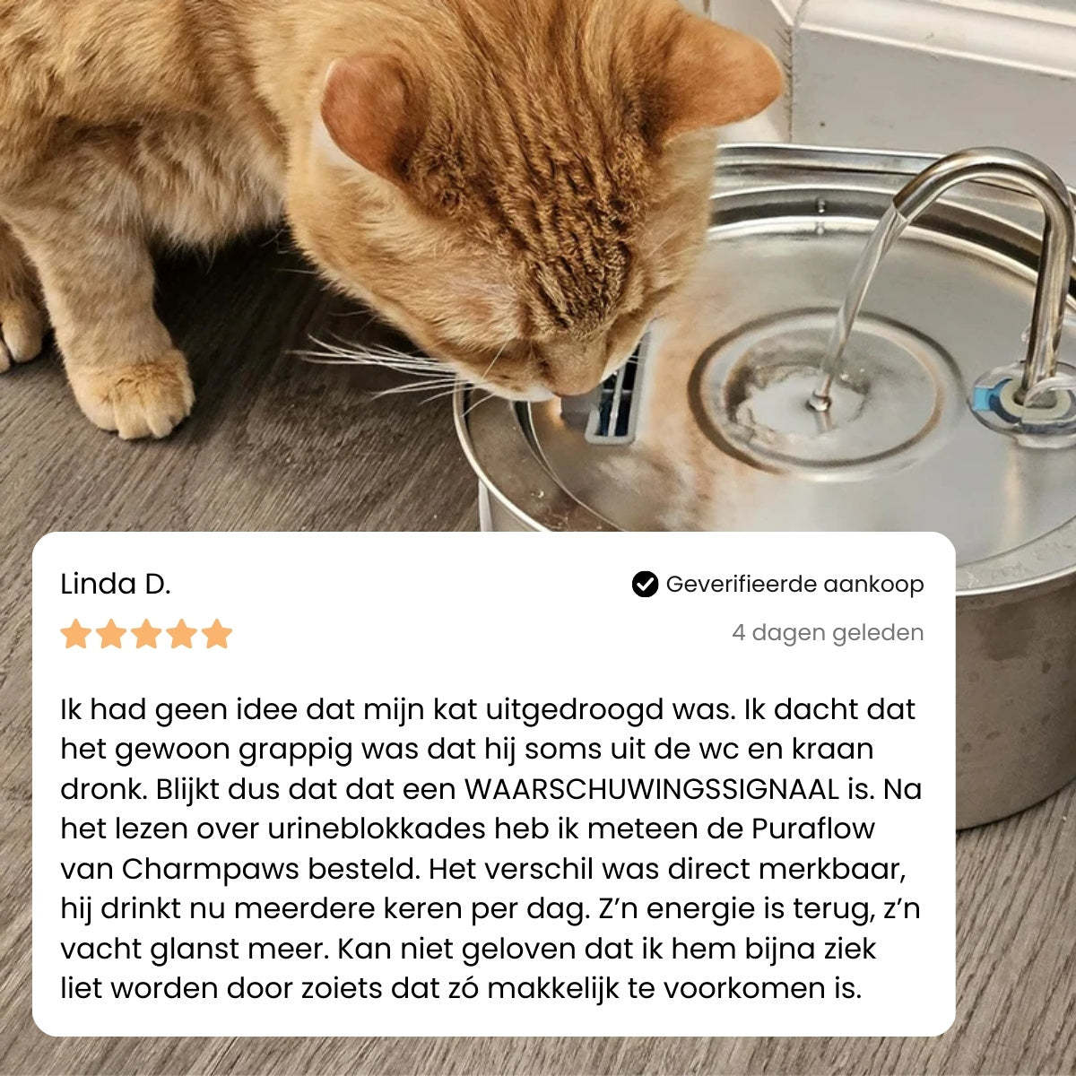 CharmPaws® PuraFlow Pro - Premium RVS Drinkfontein voor Katten