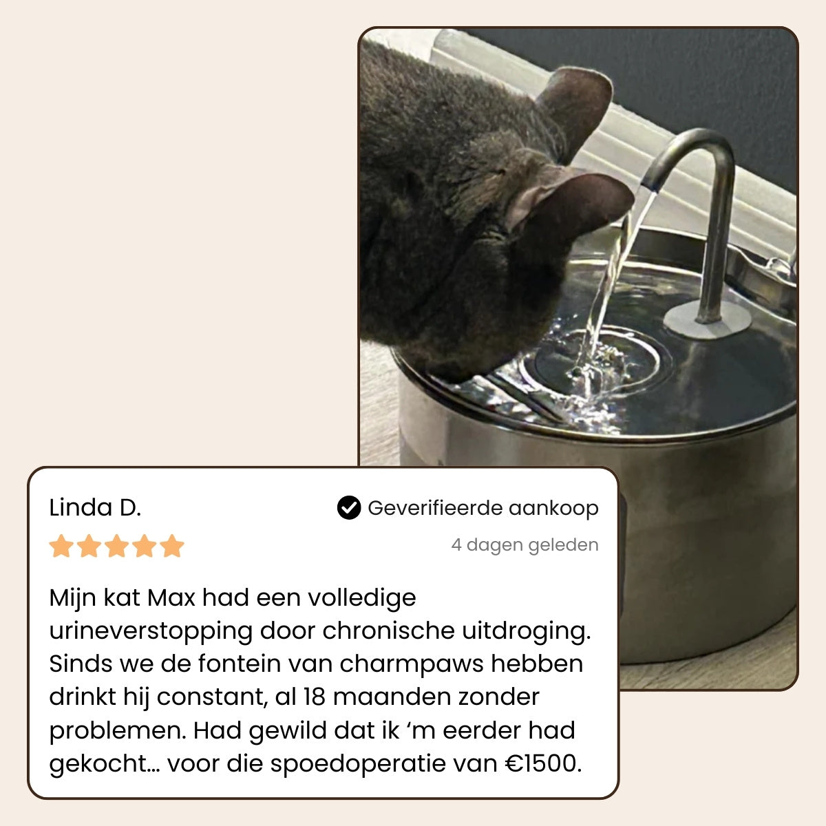 CharmPaws® PuraFlow Pro - Premium RVS Drinkfontein voor Katten