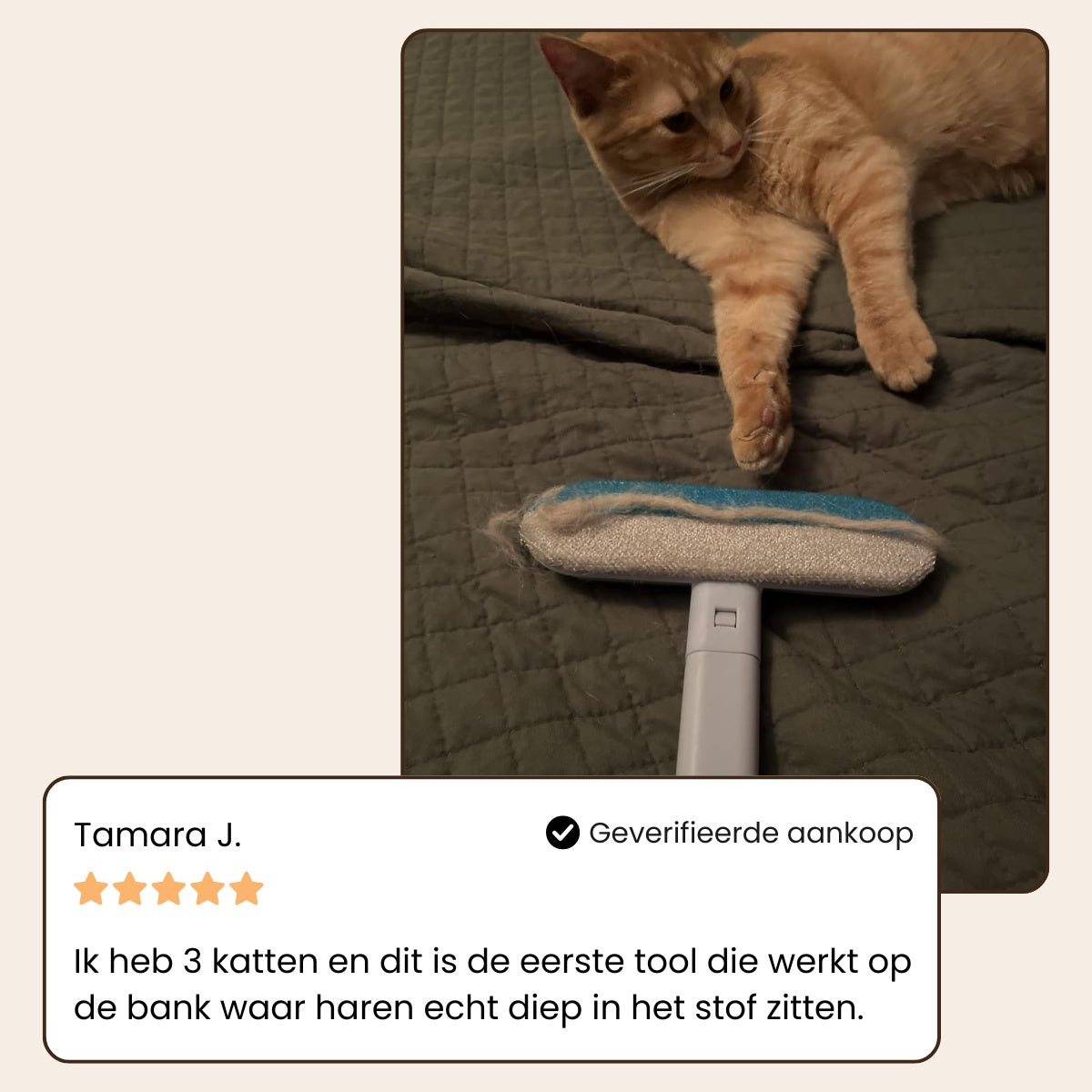 CharmPaws® MultiSwipe Pro - 3-in-1 Huisdierhaar Verwijderaar