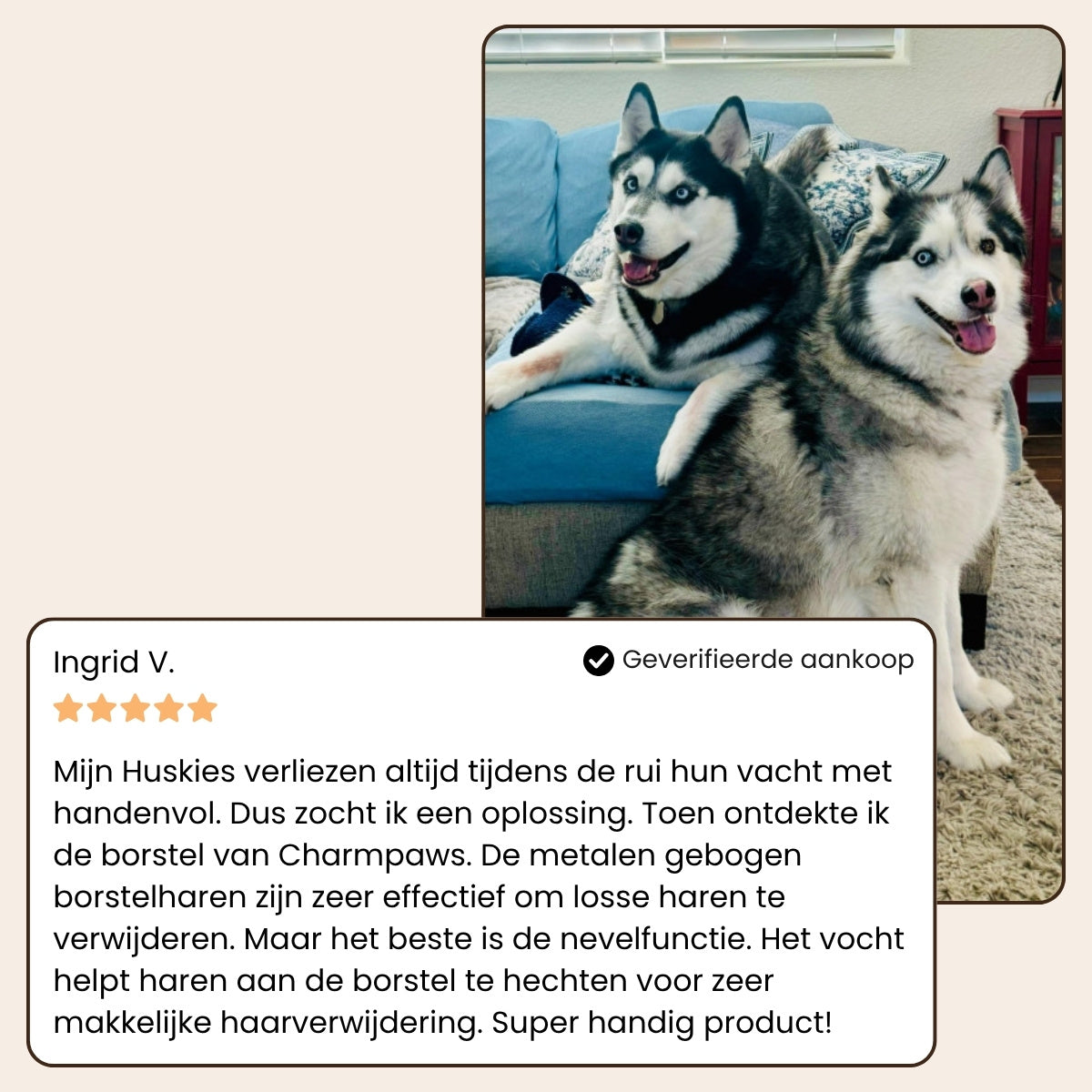 CharmPaws® Steami Pro - Professionele Vachtverzorgings Borstel voor Huisdieren