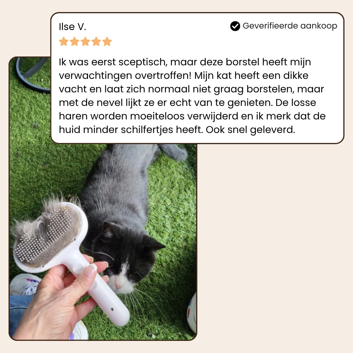 CharmPaws® Steami Pro - Professionele Vachtverzorgings Borstel voor Huisdieren
