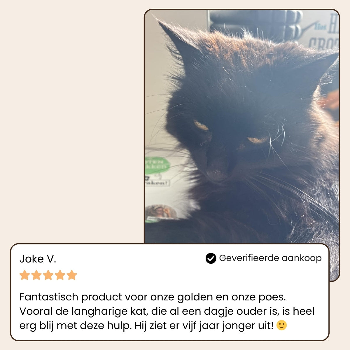 CharmPaws® Steami Pro - Professionele Vachtverzorgings Borstel voor Huisdieren