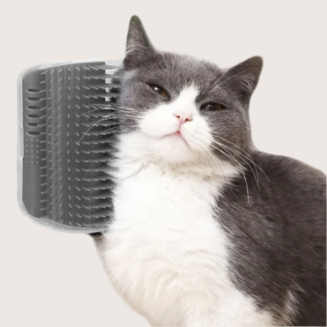 CharmPaws™ GroomEase - Katten Zelfmassage Hoekborstel