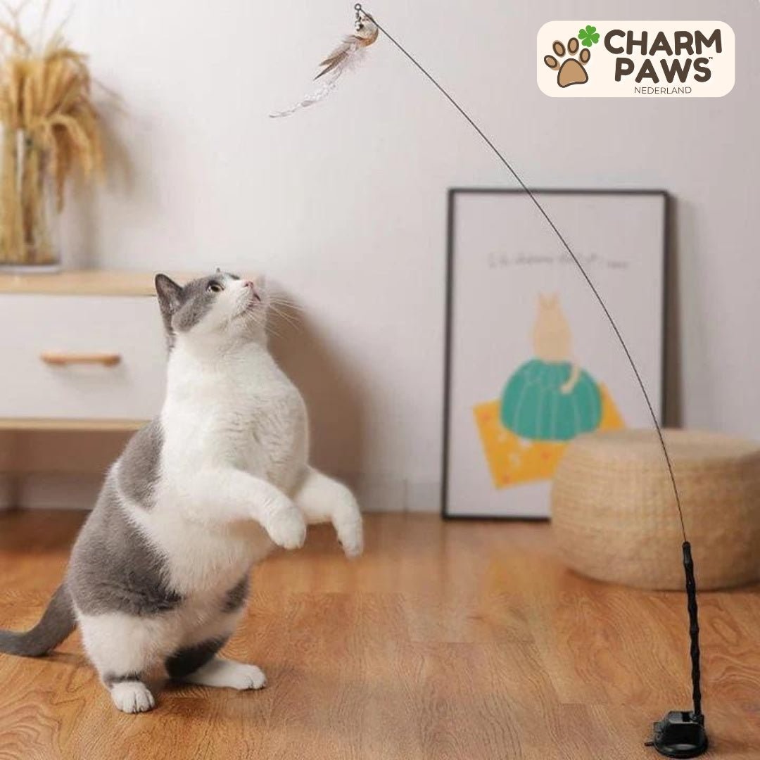 CharmPaws™ Katten Vogel Jacht - Simulator Set - CharmPaws