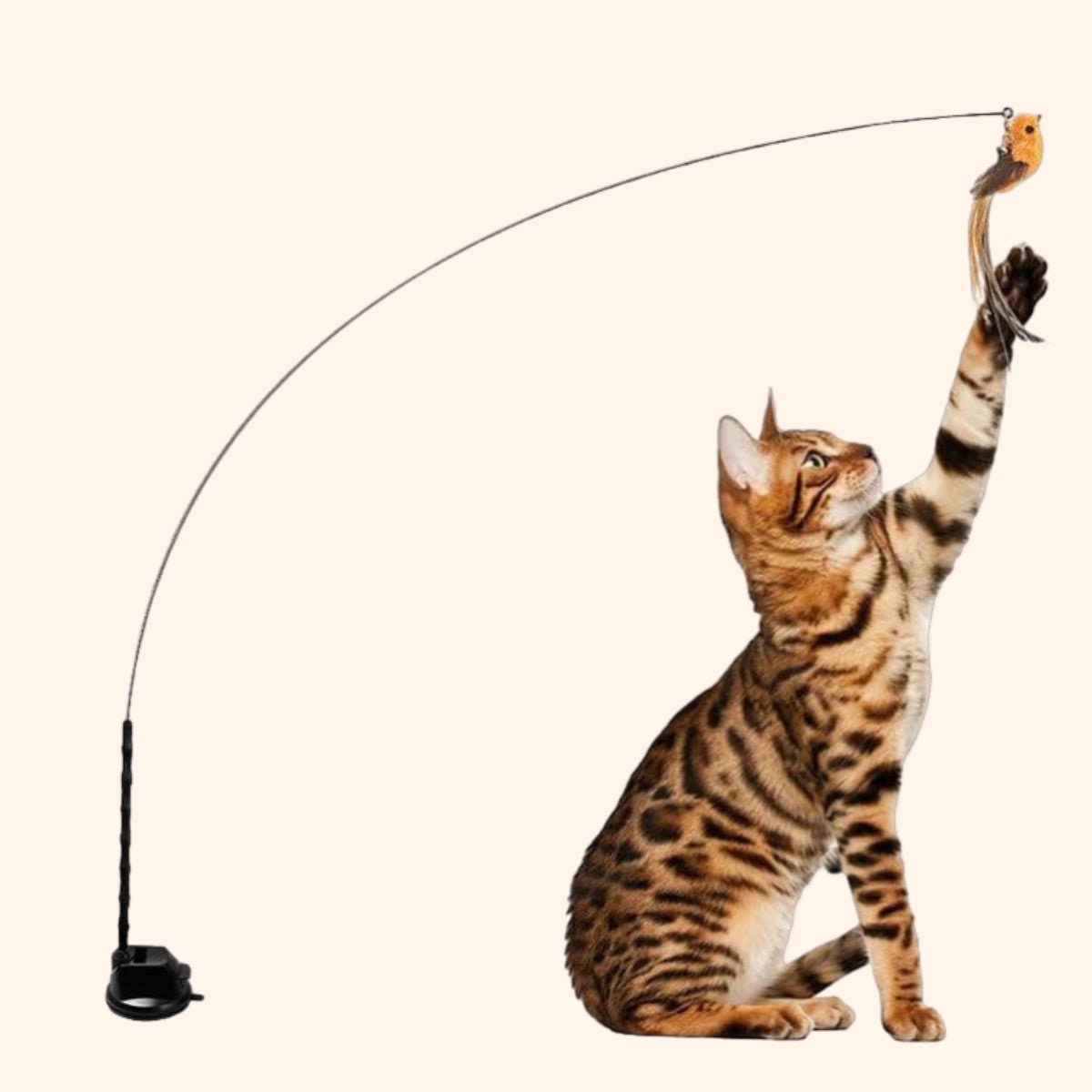 CharmPaws™ Katten Vogel Jacht - Simulator Set - CharmPaws