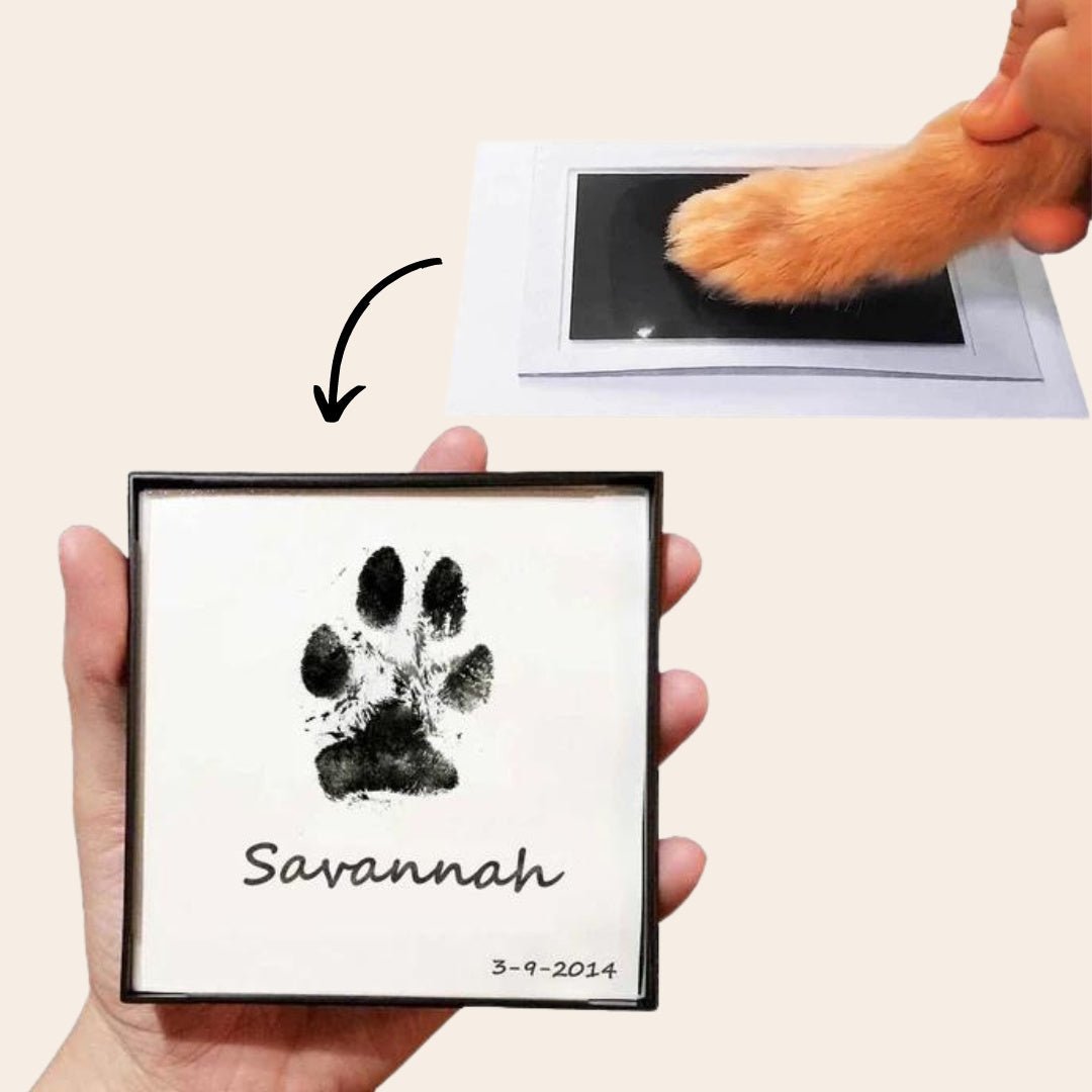 Vegena Pootafdrukset hond en kat, 3D gipsafdrukset, fotolijst Vegena Pootafdrukset hond en kat, 3D gipsafdrukset, fotolijst