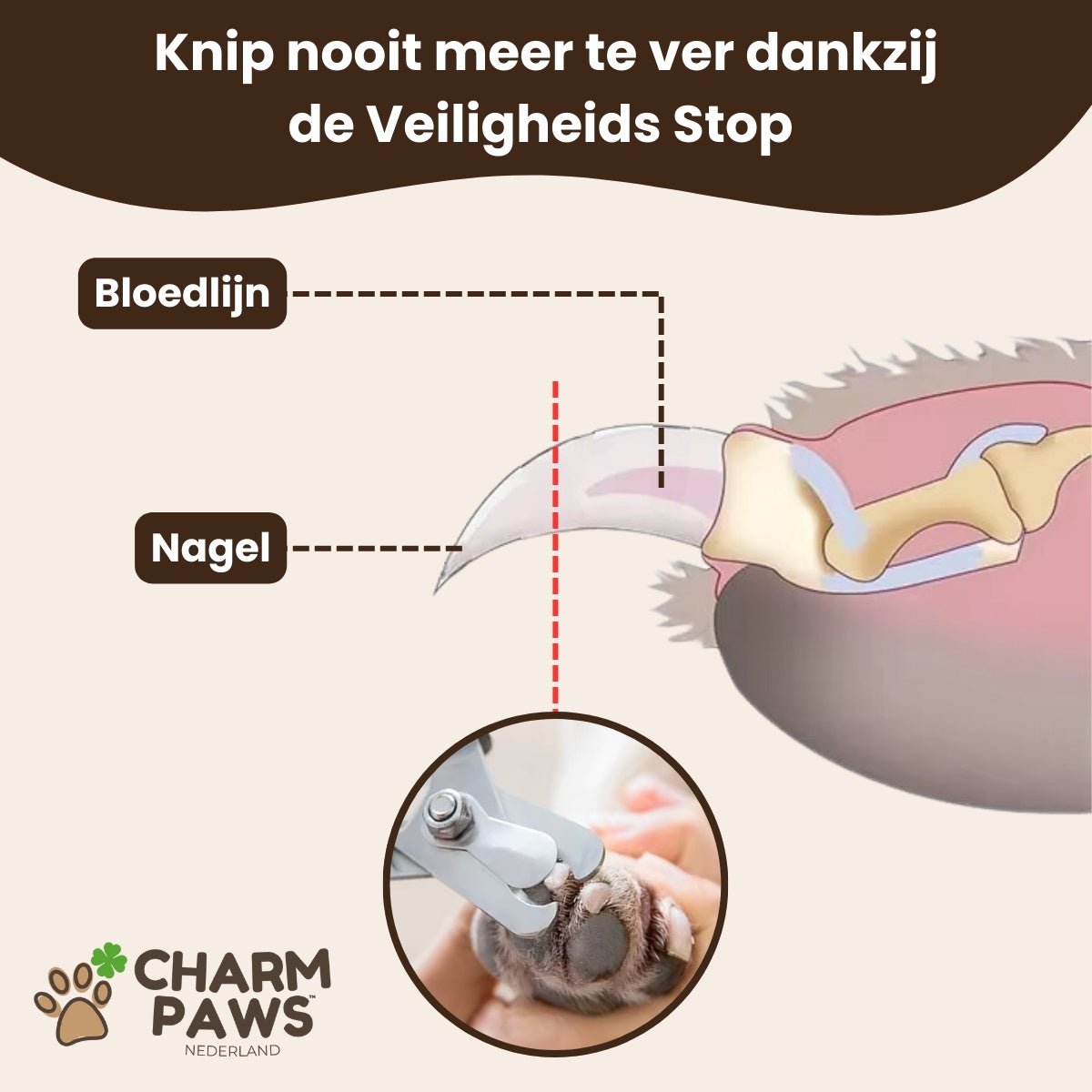 CharmPaws™ Professionele Nageltrimmer - Voor Honden & Katten - CharmPaws