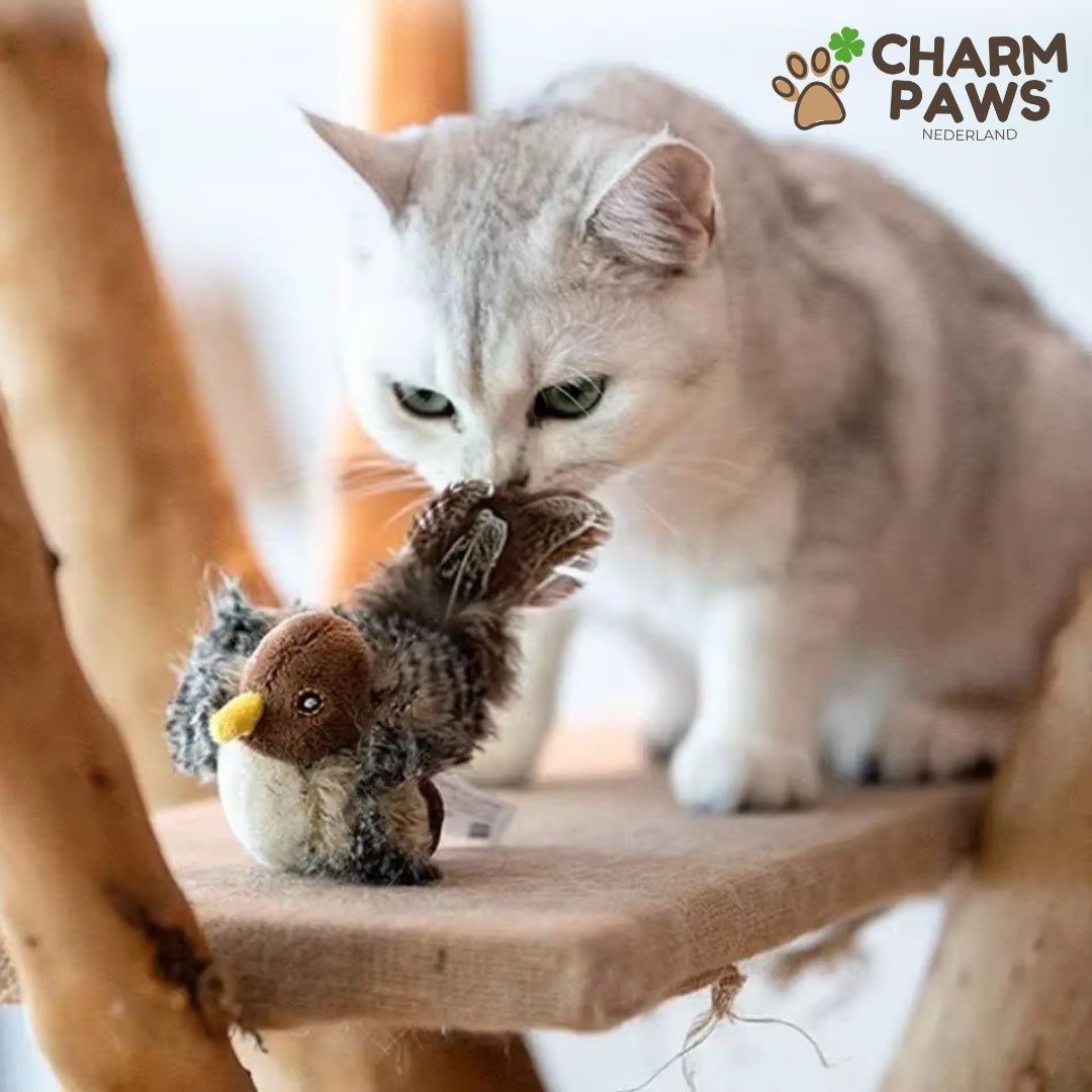 CharmPaws™ Realistische Simulatie Vogel voor Katten - CharmPaws