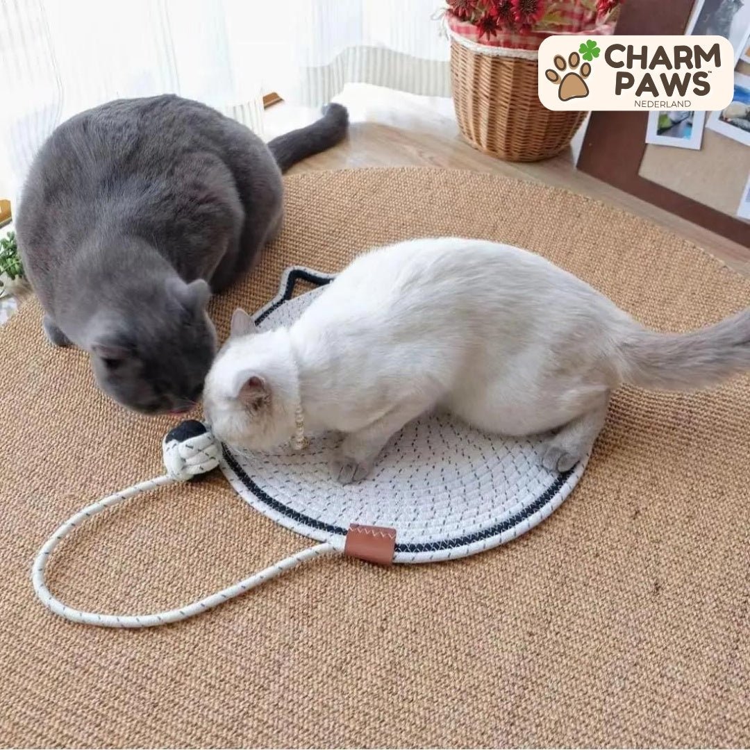 CharmPaws™ Ronde Krabmat met Bal - CharmPaws