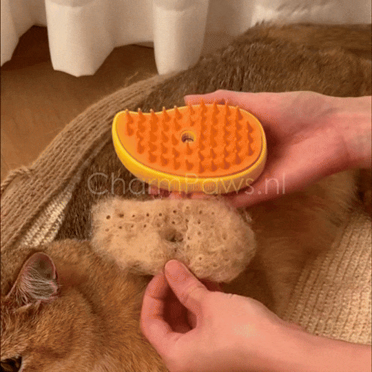 CharmPaws™ - Vacht Verfrissende Stoomborstel - CharmPaws