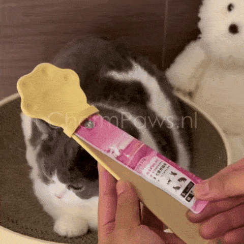 Katten Snacks Squeeze Lepel