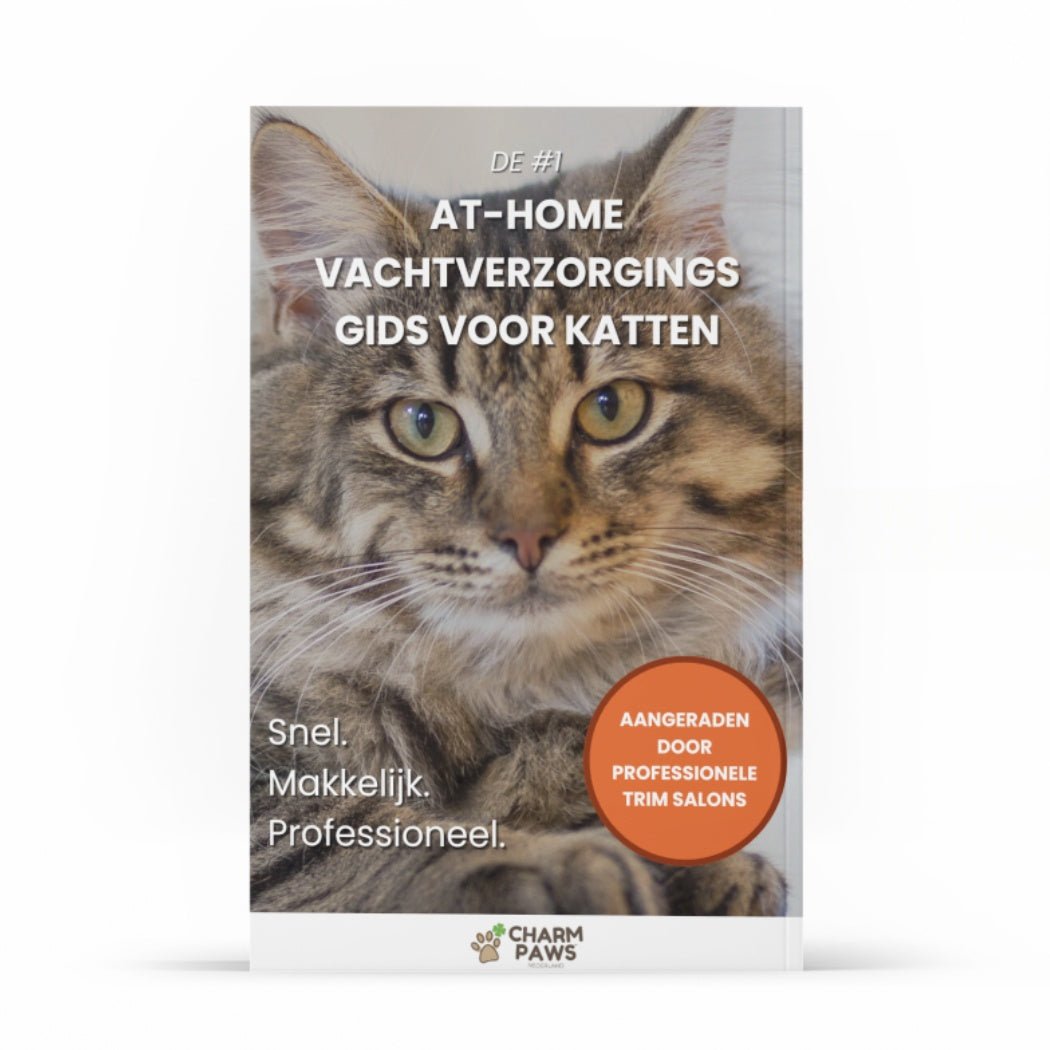 #1 At - Home Vachtverzorgings Gids voor Katten E - book - CharmPaws