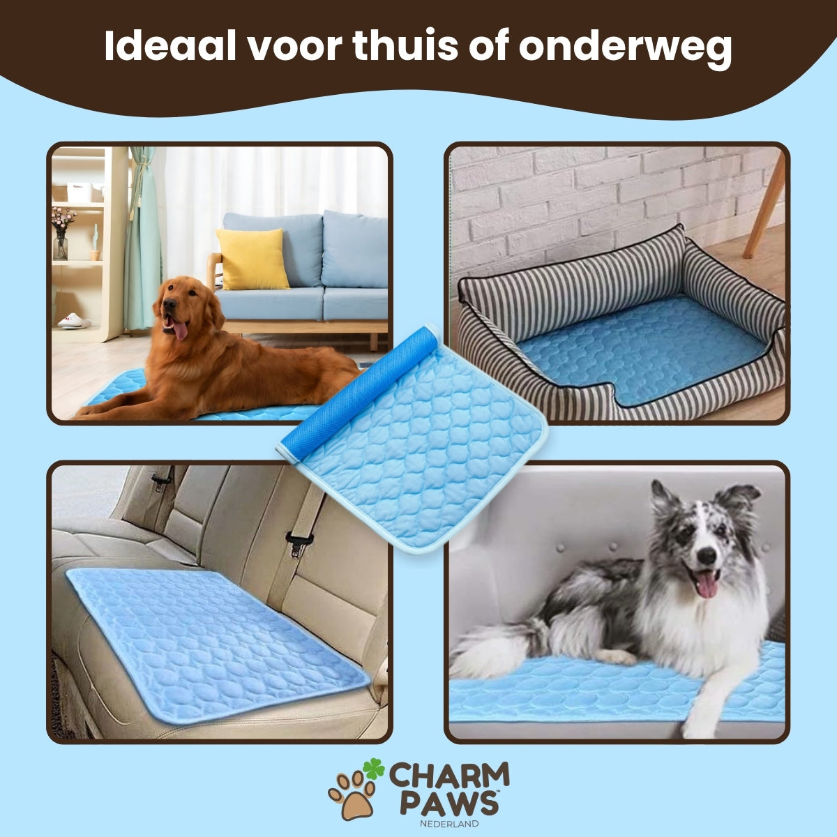 Koelmat Hond – Zelfkoelend Met Niet-giftige Gel – Opvouwbaar & Waterafstotend – Geschikt Voor Honden XL/XXL En Katten!