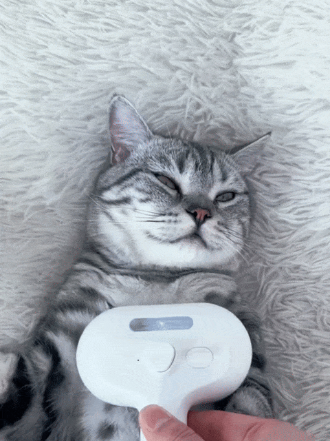 Adapté à tous les chiens et chats