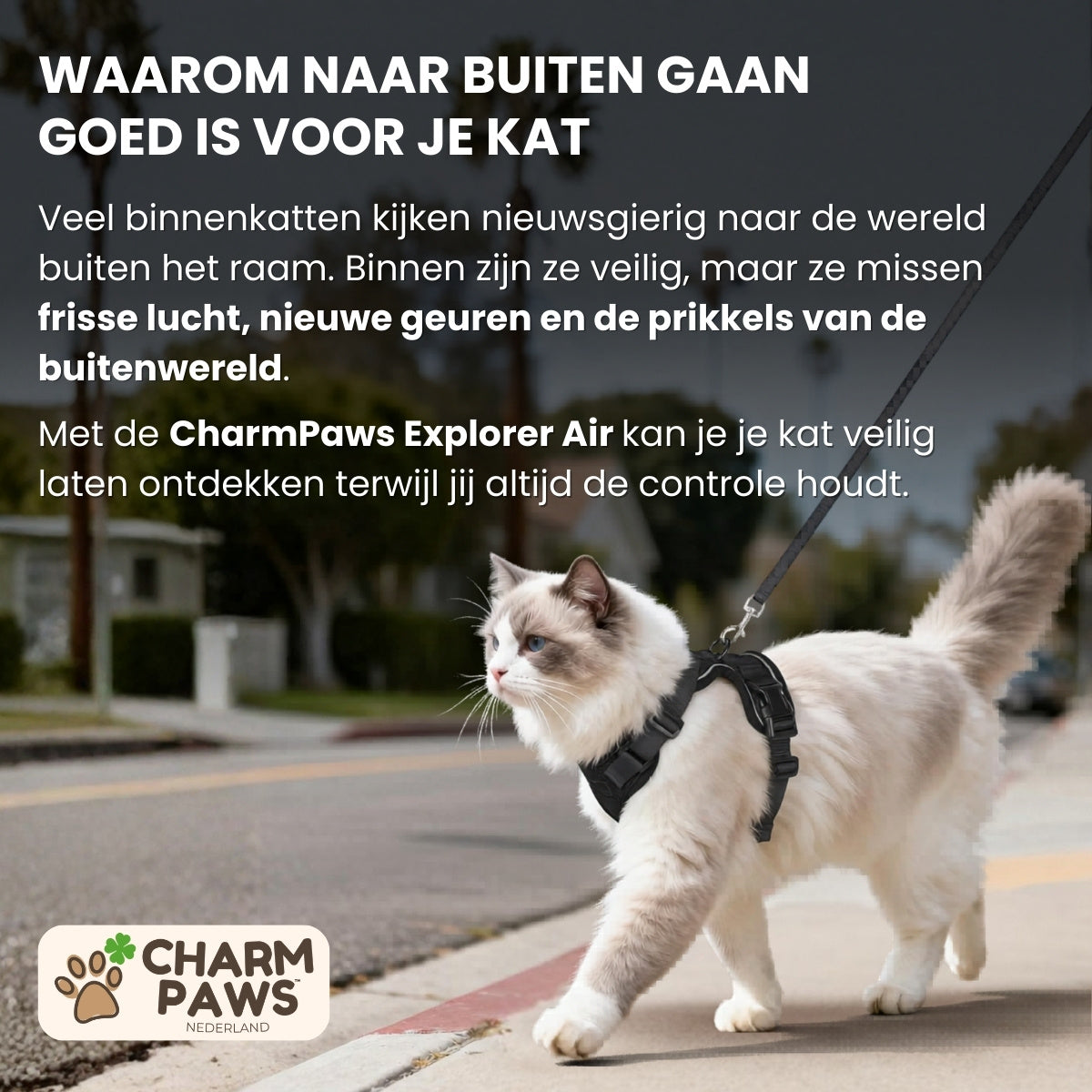 CharmPaws® Explorer Air - Ademend en Verstelbaar Kattenharnas met Looplijn