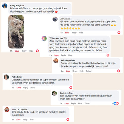 CharmPaws® Steami Pro - Professionele Vachtverzorgings Borstel voor Huisdieren