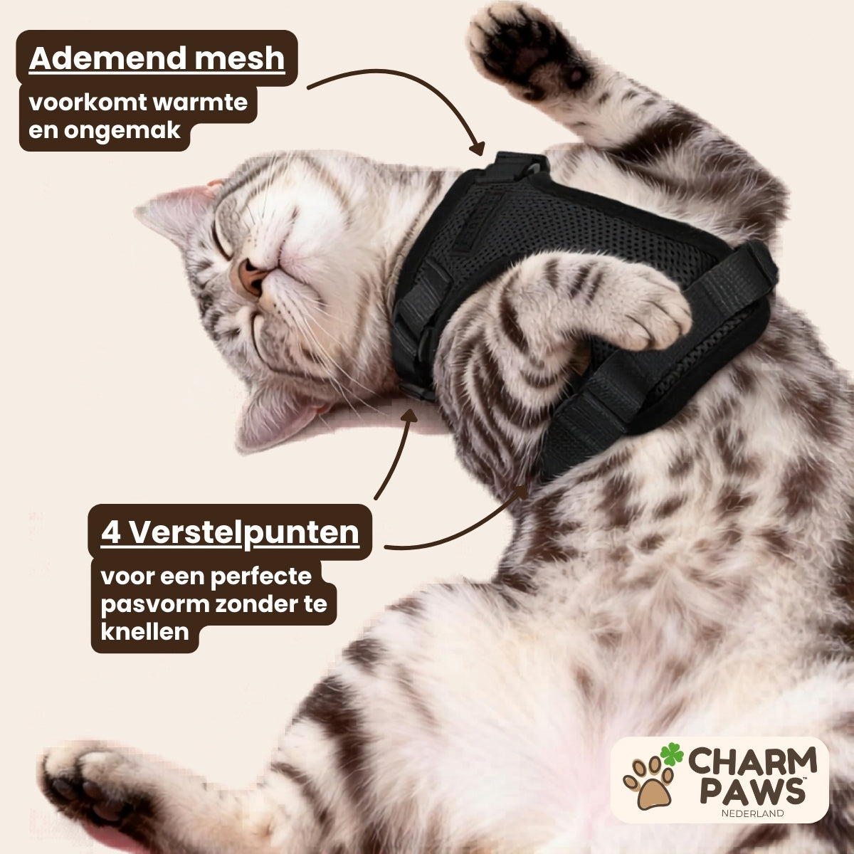 CharmPaws® Explorer Air - Ademend en Verstelbaar Kattenharnas met Looplijn