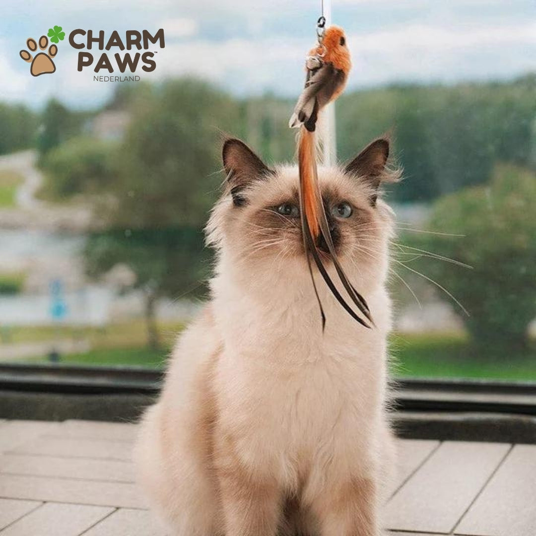 CharmPaws™ Katten Vogel Jacht-Simulator Set