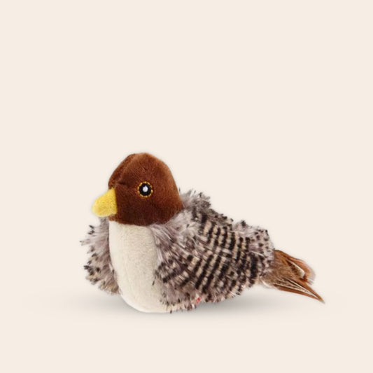 CharmPaws® Realistische Simulatie Vogel voor Katten - Kleine Mus (Tjilpt)