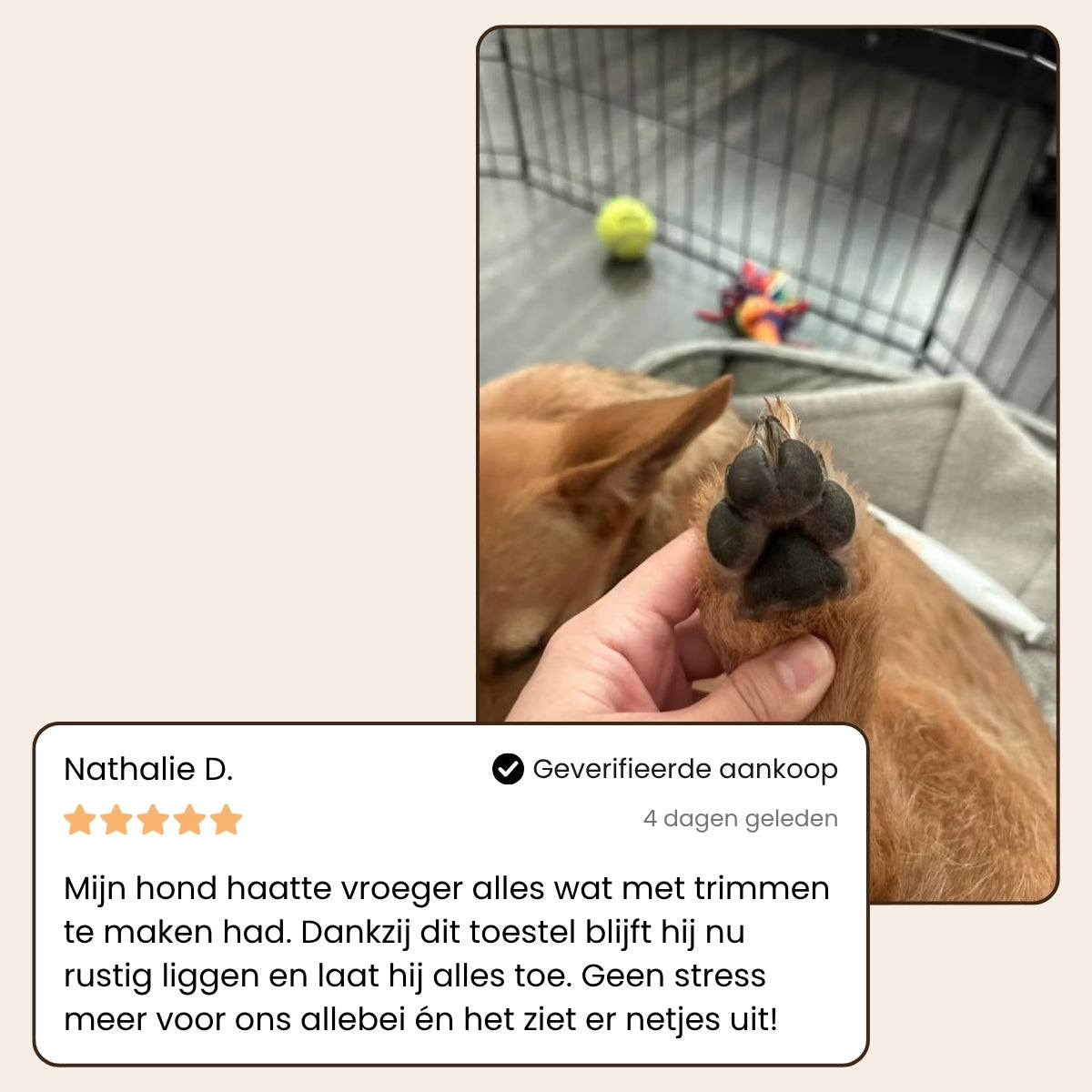 CharmPaws® PawBlade Pro - Professionele Precisie Trimmer voor Huisdieren