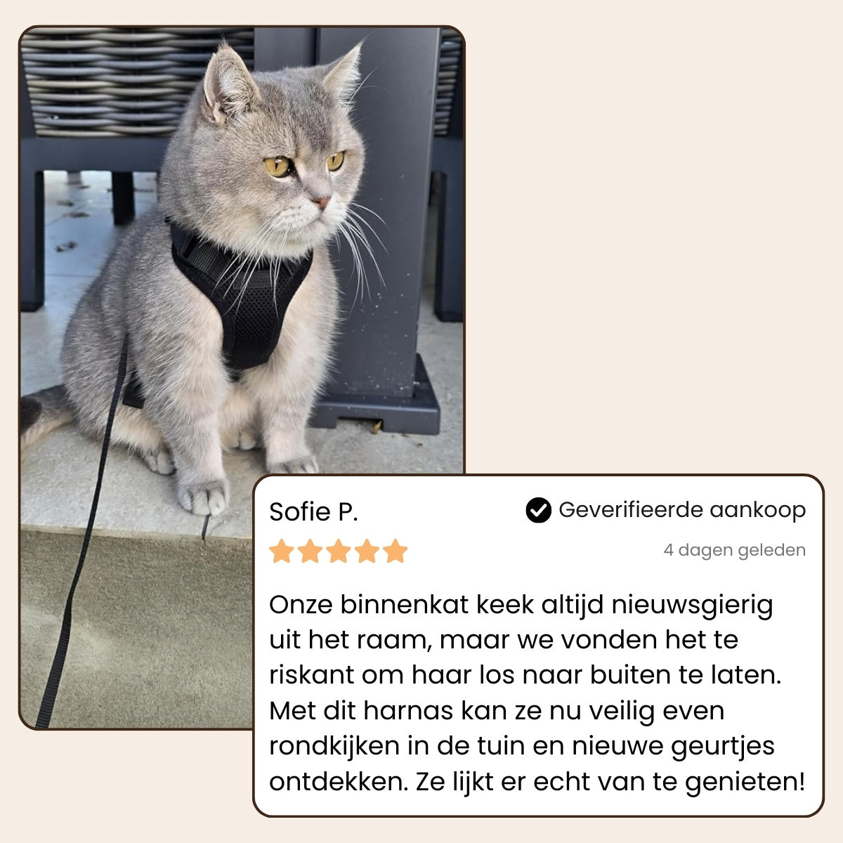 CharmPaws® Explorer Air - Ademend en Verstelbaar Kattenharnas met Looplijn
