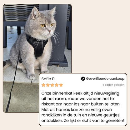 CharmPaws® Explorer Air - Ademend en Verstelbaar Kattenharnas met Looplijn
