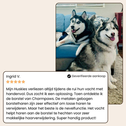 CharmPaws® Steami Pro - Professionele Vachtverzorgings Borstel voor Huisdieren