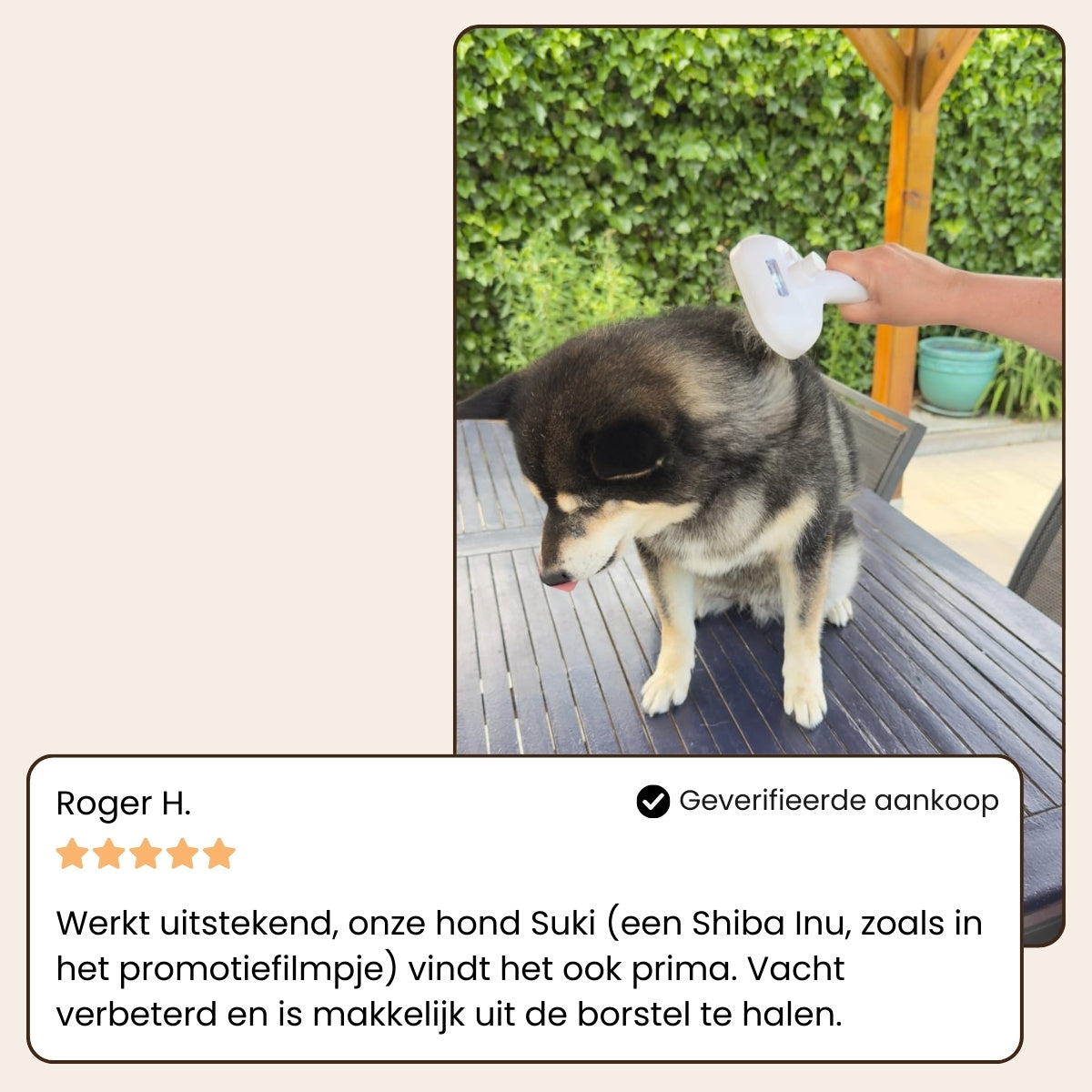 CharmPaws® Steami Pro - Professionele Vachtverzorgings Borstel voor Huisdieren