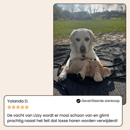 CharmPaws® Steami Pro - Professionele Vachtverzorgings Borstel voor Huisdieren