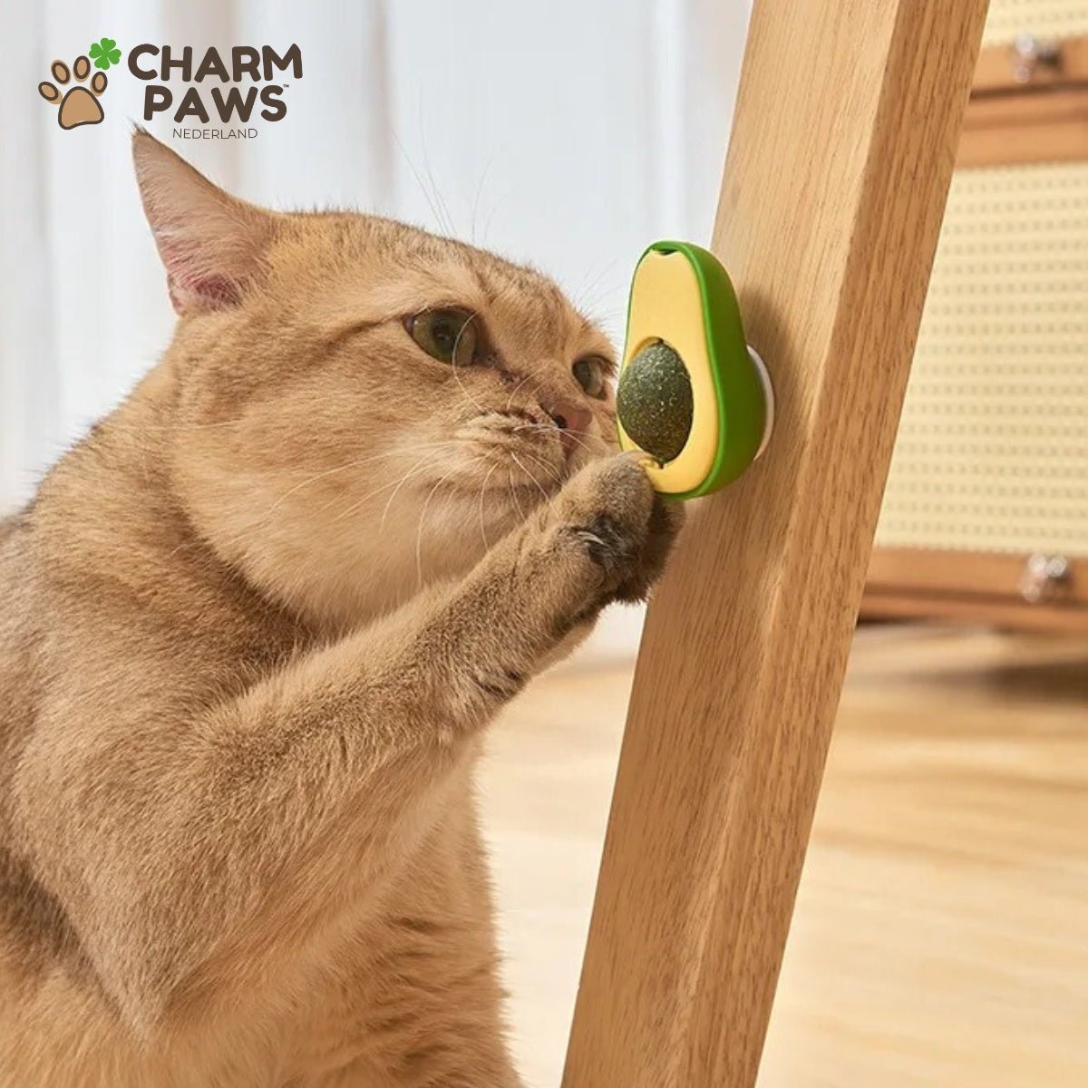 CharmPaws™ Avocado Kattenkruid Bal - CharmPaws