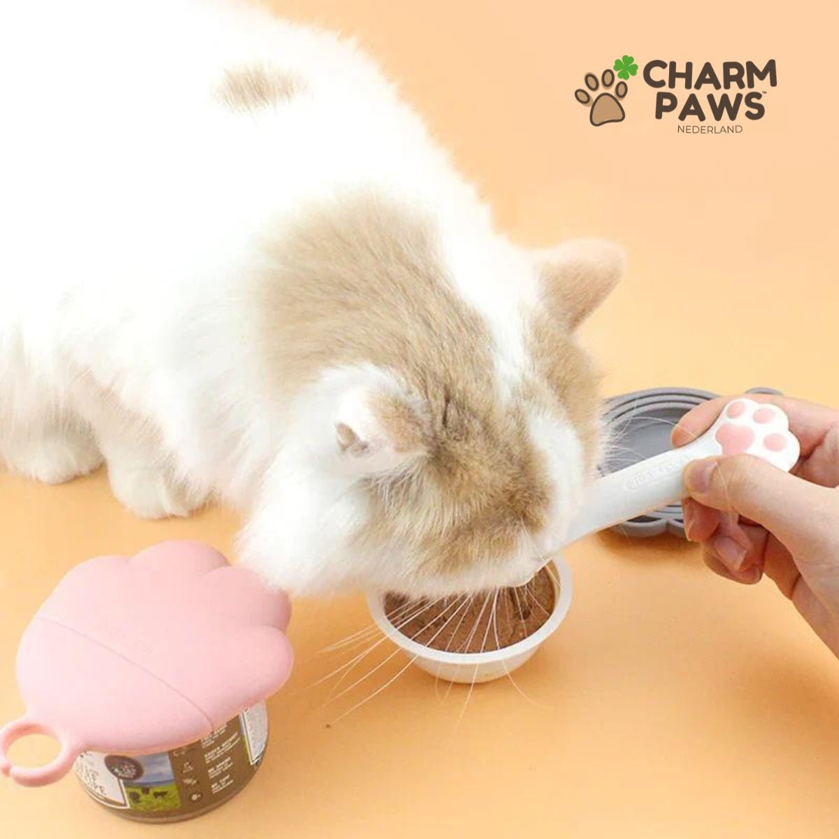 CharmPaws™ Katten Blikvoer Helper - CharmPaws