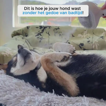 CharmPaws® Steami Pro - Professionele Vachtverzorgings Borstel voor Huisdieren