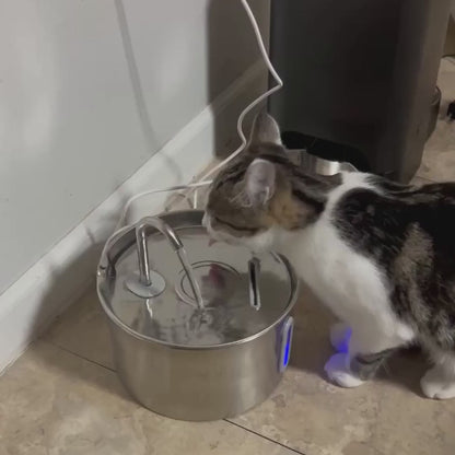 CharmPaws® PuraFlow Pro - Premium RVS Drinkfontein voor Katten