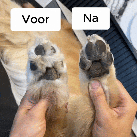 CharmPaws® PawBlade Pro - Professionele Precisie Trimmer voor Huisdieren